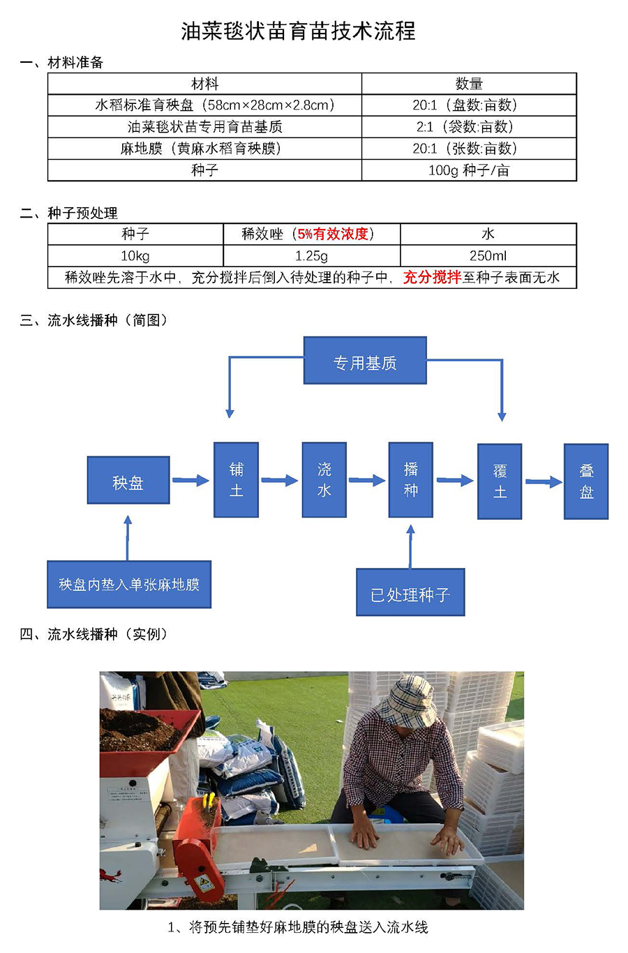 云马--油菜毯状苗育苗技术流程_页面_1.jpg